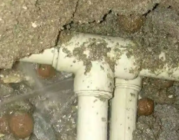 淅川测漏水多少钱