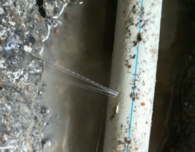 淅川测漏水哪家好