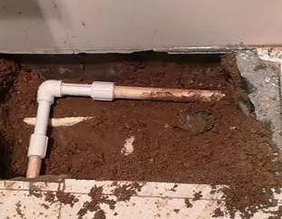 淅川测漏水哪家好