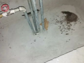 淅川卫生间测漏水价格明细