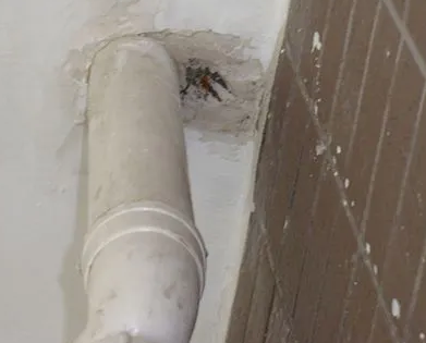 淅川漏水检测哪家好